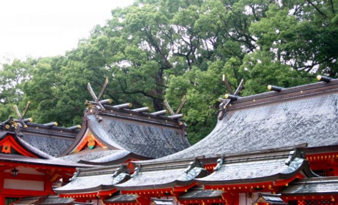 元彼との復縁成就が叶うと言われる和歌山県のおすすめ神社TOP3